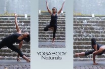 Yogabody Naturals